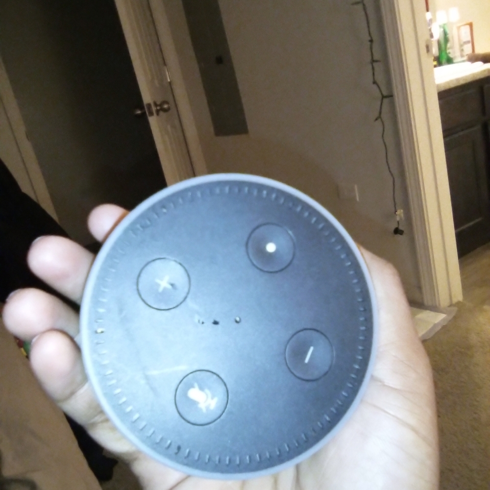 Amazon Alexa - Picture 2 of 2